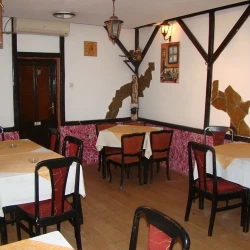 Kod Aranđela-1