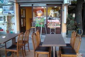 Mikelanđelo-cover-image-big