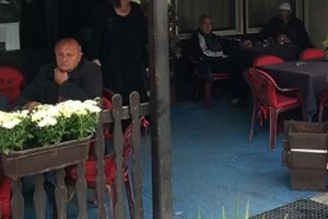 Šaran-cover-image-big