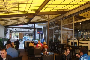 Lipa-cover-image-big