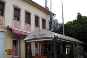 Halo Leskovac 1-cover-image-big