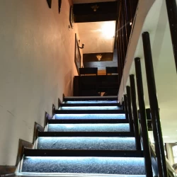 Night and day picerija-1