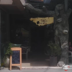 Olive tree-2