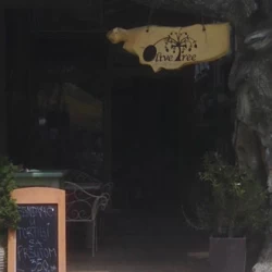 Olive tree-4