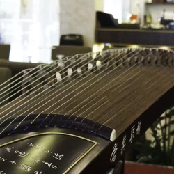 Kineski restoran Soul Kitchen-1