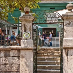 Smokvica Kralja Petra-1