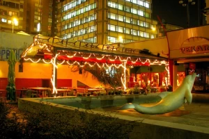 Burrito Madre Svetozara Markovića-cover-image-big