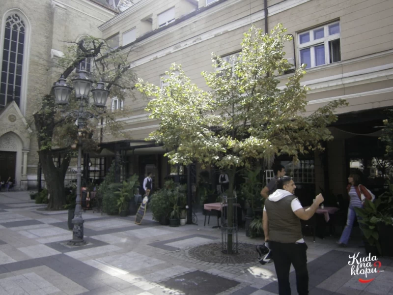 Atina-1