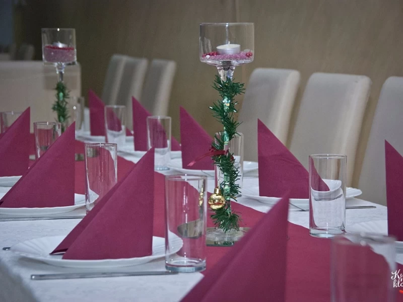 Svečana Sala Sunce Plus-29