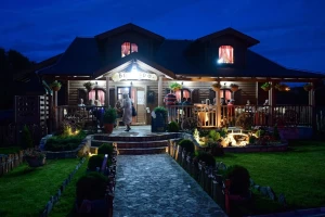 Pink Panter-cover-image-big