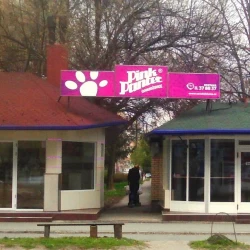 Pink Panter-1