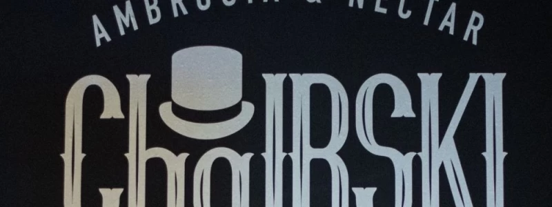 ChaIRSKI SuperFood logo