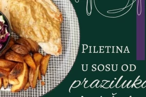 Barbollini-cover-image-big