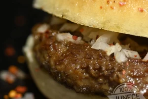 Ušara fast food-cover-image-big