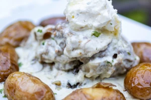 Vrh Beograda Restoran-cover-image-big