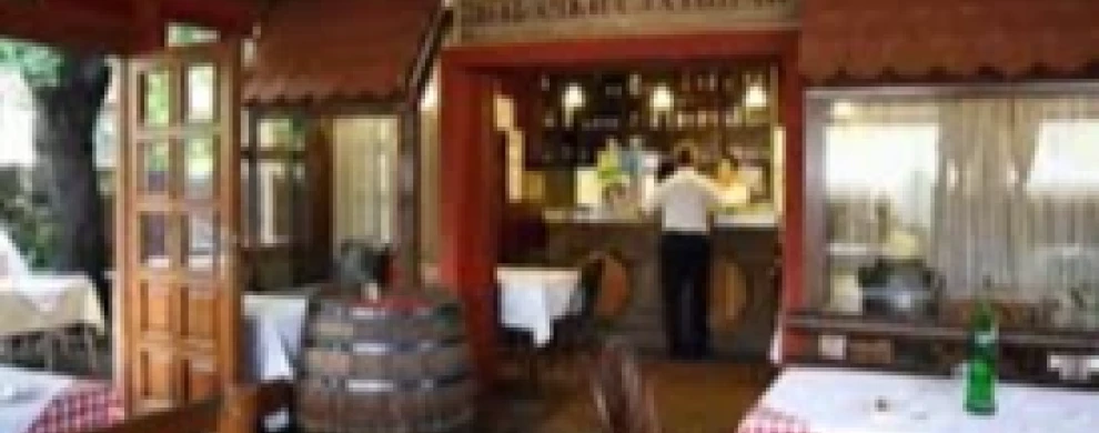 RESTORAN ŠABAČKI SLATINAC-0