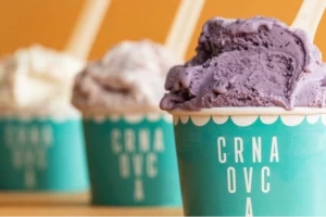 Crna Ovca Blok 32-cover-image-big