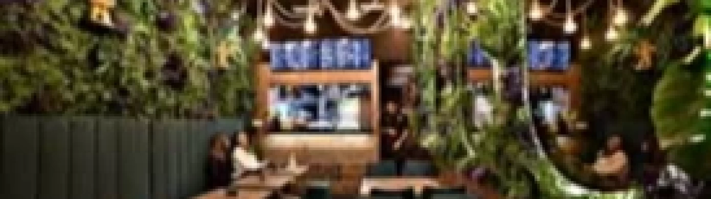 Gorilla burger bar-0