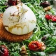 Burrata Salata
