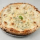 Alfredo pizza velika
