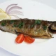 Pastrmka