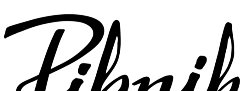 Restoran Piknik logo