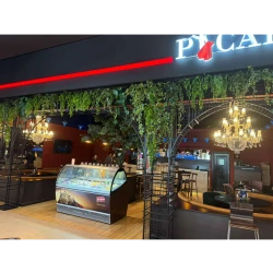 Picador-2