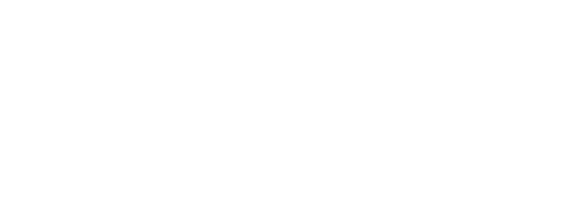 Walter Palilula logo