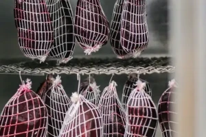 Moba Plantbased-cover-image-big