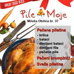 Pile Moje-2