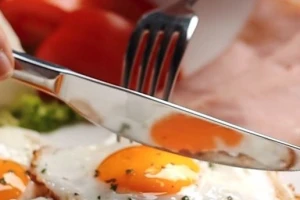 LoungeBarShark-cover-image-big