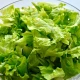 Zelena salata – 150 gr