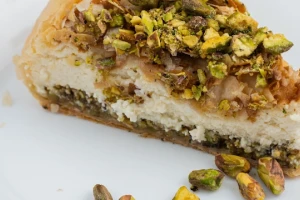 3 Stola-cover-image-big