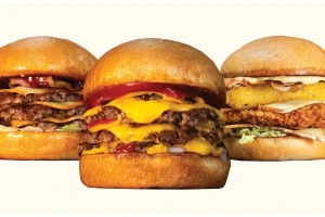 Gyro by Paprika-cover-image-big