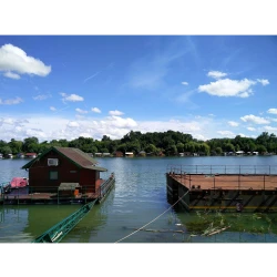 Kafe bar i restoran SavaSava-4